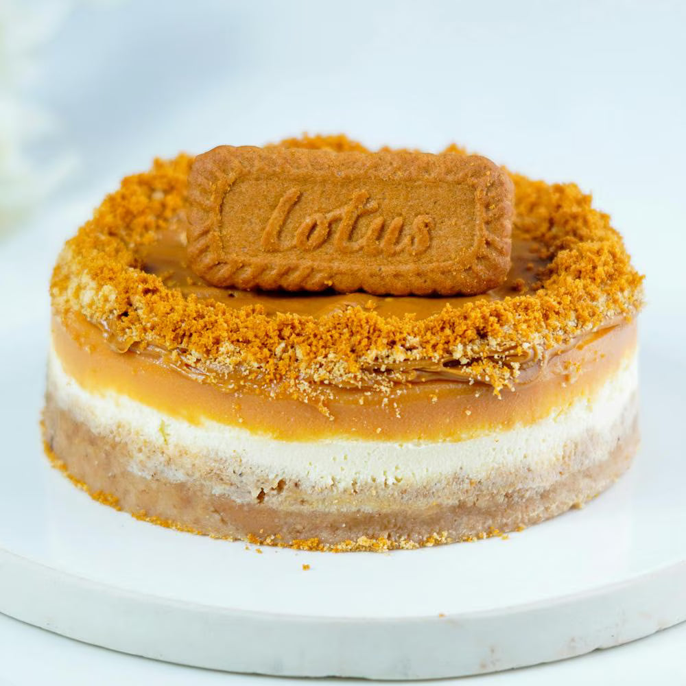 Lotus Biscoff Crumb 750g